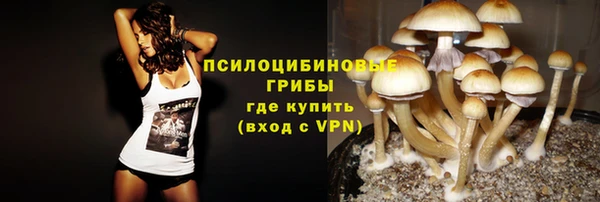 эйфоретик Инсар