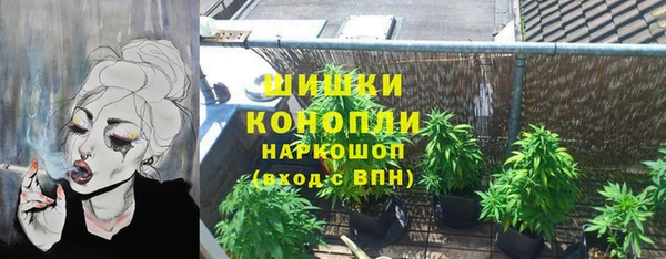 эйфоретик Инсар