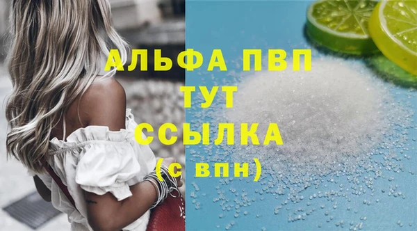 эйфоретик Инсар