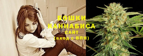 эйфоретик Инсар