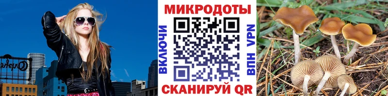 Псилоцибиновые грибы Cubensis  Купить закладки  Емва 